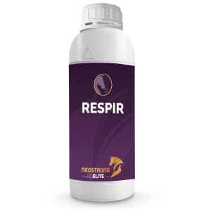 Botella Respir (1L)